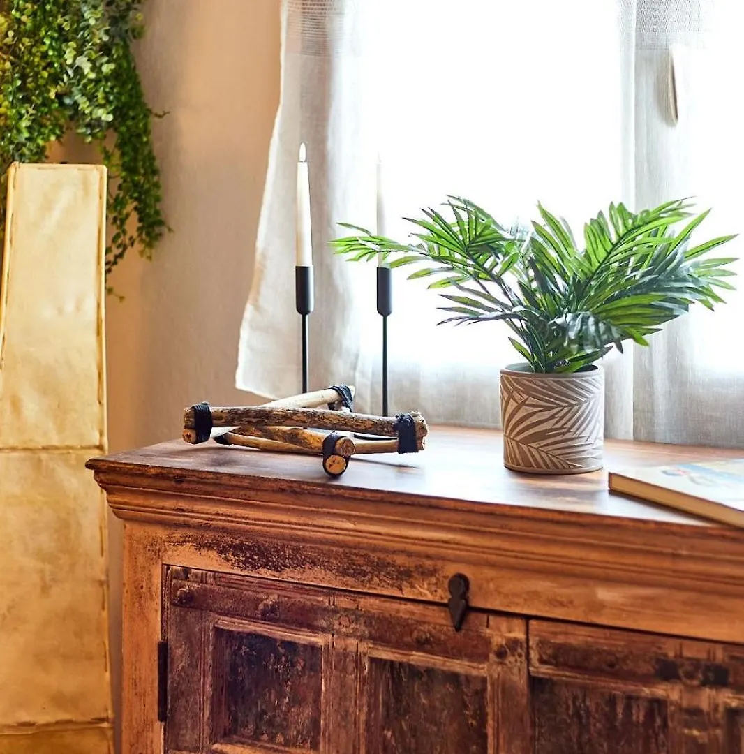 Appartement Tropical Manera à Santa Maria
